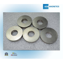 China ISO / Ts 16949 Certificated Günstige Magnet